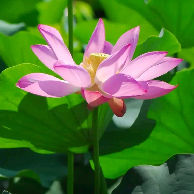 滴水藏海