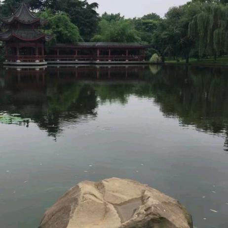 源哥