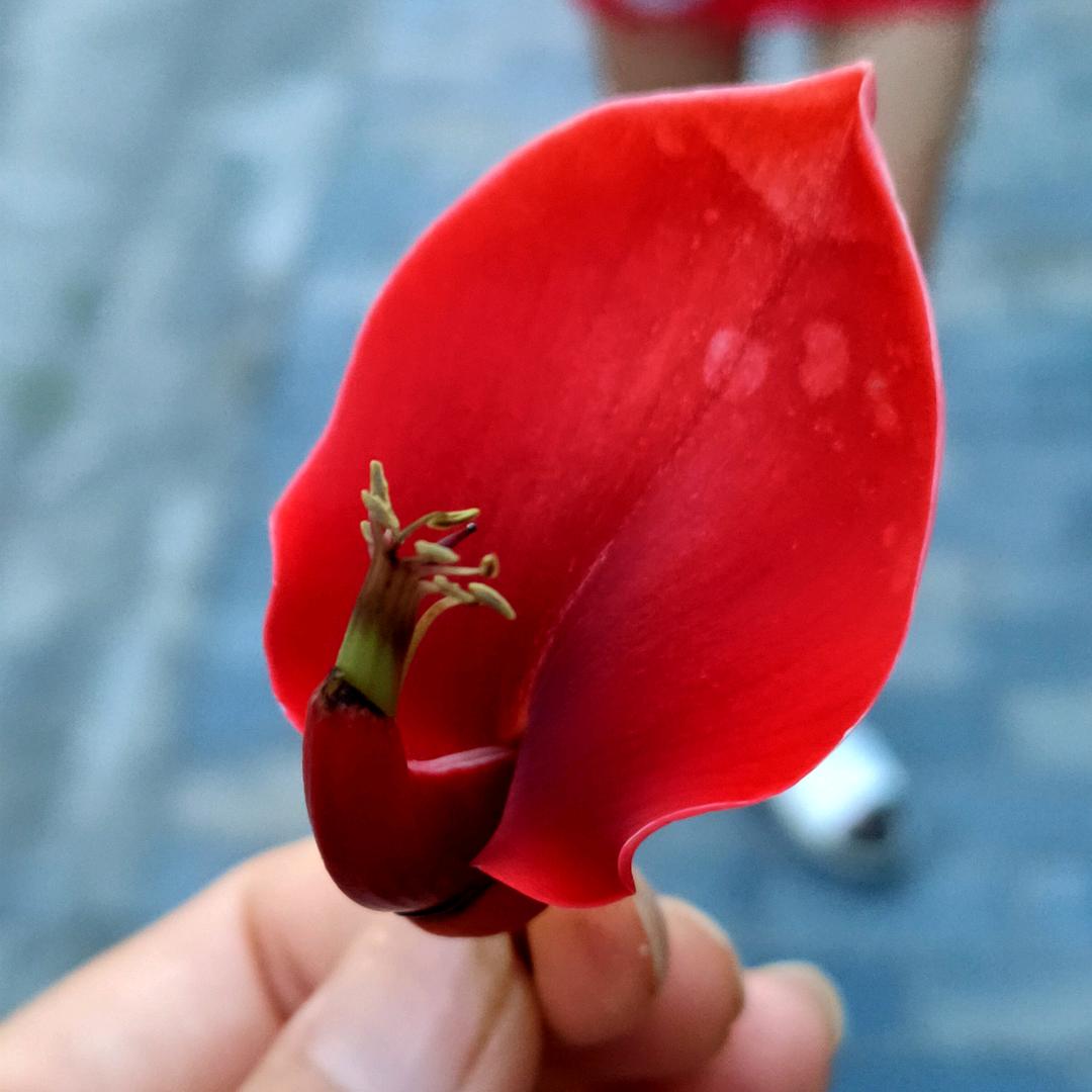 不美不萌不温柔