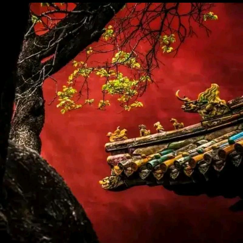 一叶知秋～