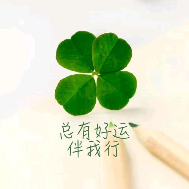 米粒儿💞💞💞