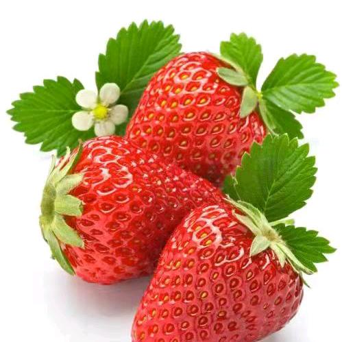 林州市林牧田农业