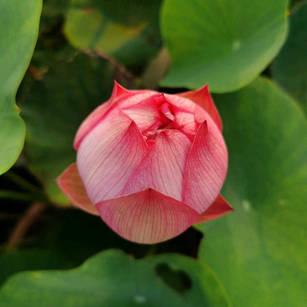 陈涛家纺～佃丝缘蚕丝