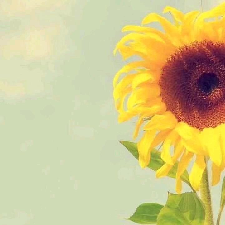 钢筋棚配电箱防护棚现货供应