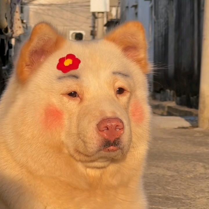 杨无敌～(￣▽￣～)~