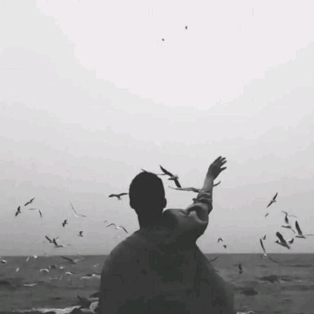 本是青灯不归客