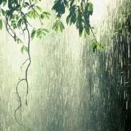 南山之雨头像