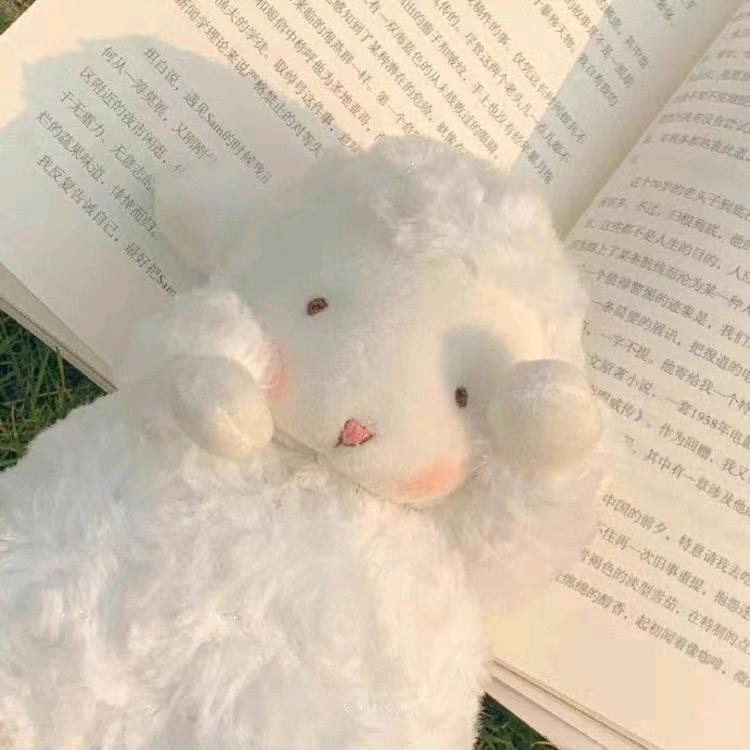 杨老板