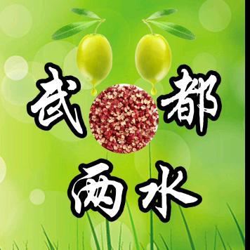人文之城、风尚两水