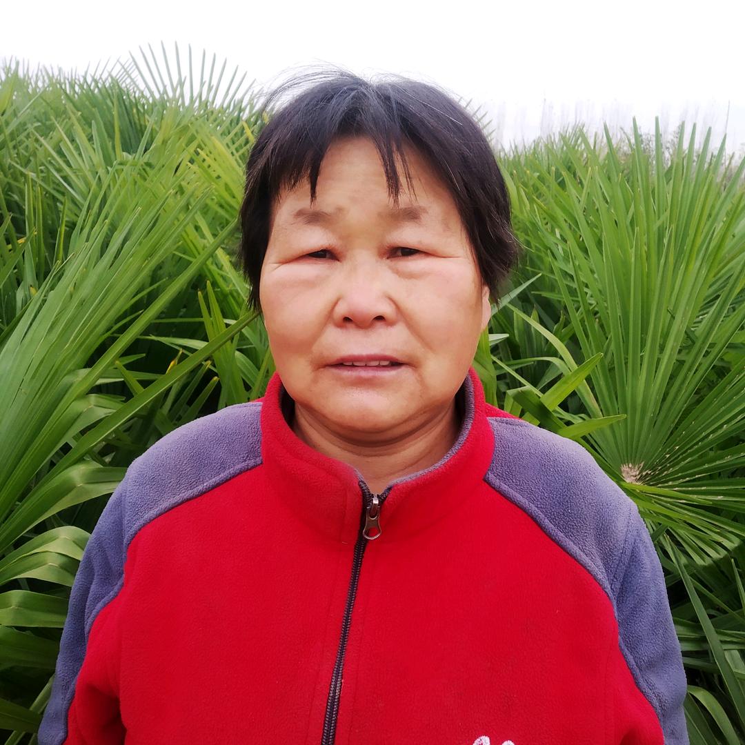 农村妞。早六点10分直播