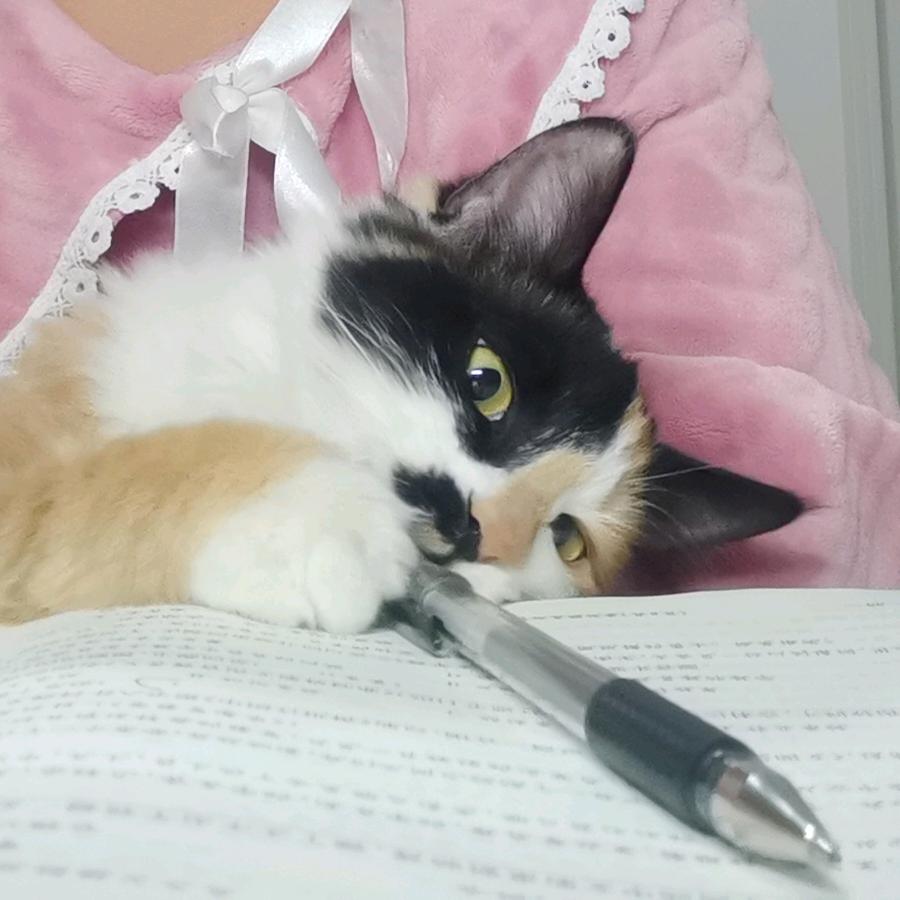 长安花静
