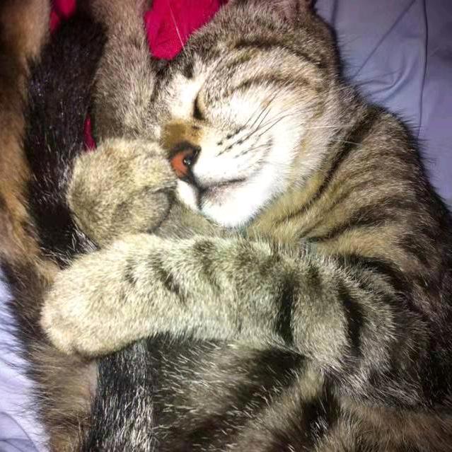 法海！你不懂爱