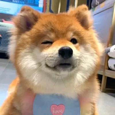 小影