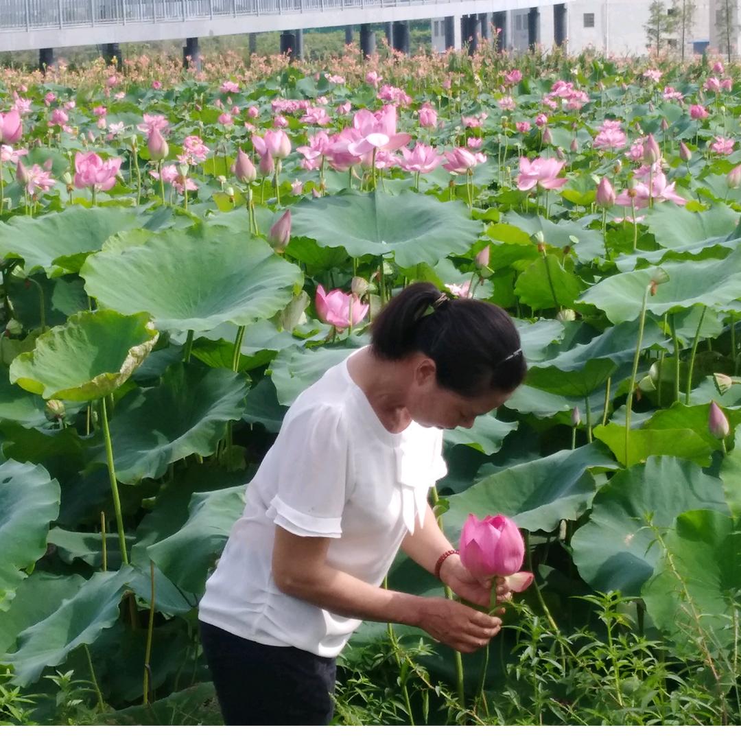 相信明天更美好