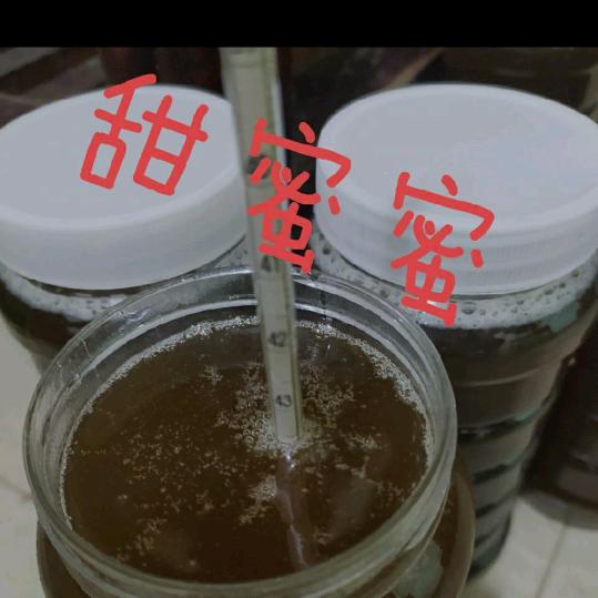 钱园郑地