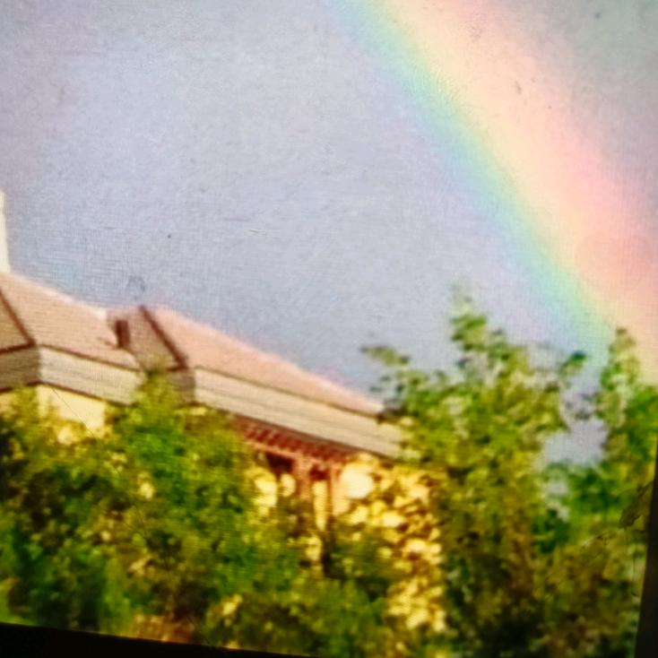 雨后彩虹🌈
