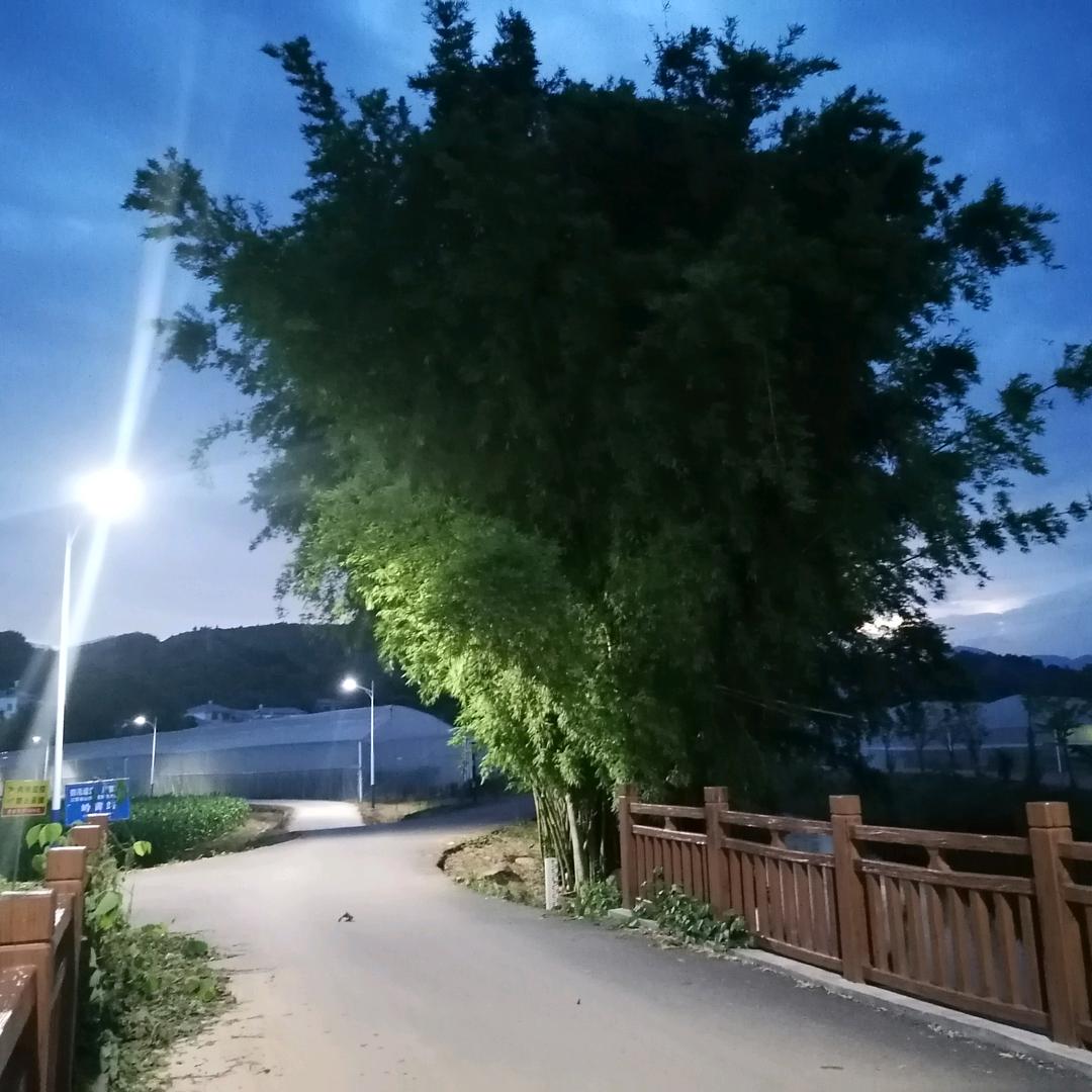 TMY
