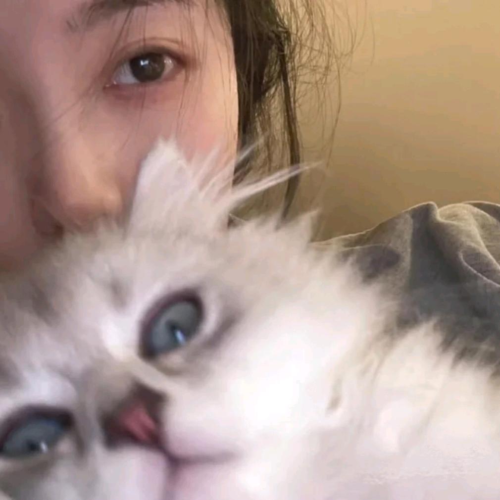 甜苞米粒儿