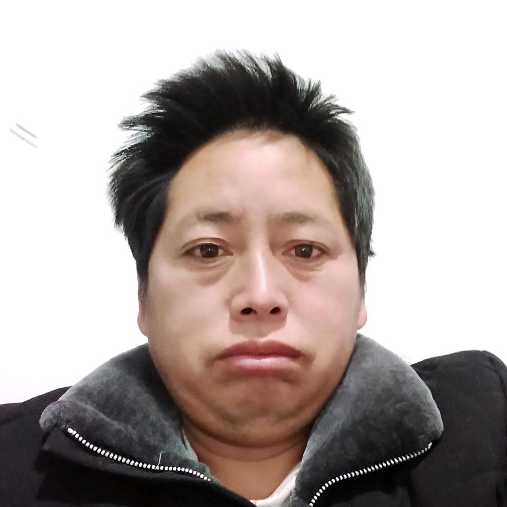 老柳