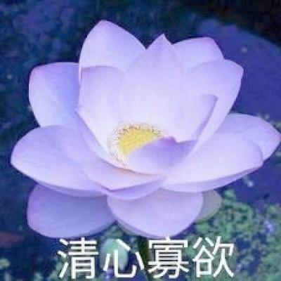 不多多