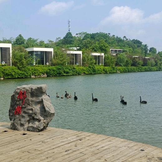 ℡狂龍╰_╯右掱残疾♂仁