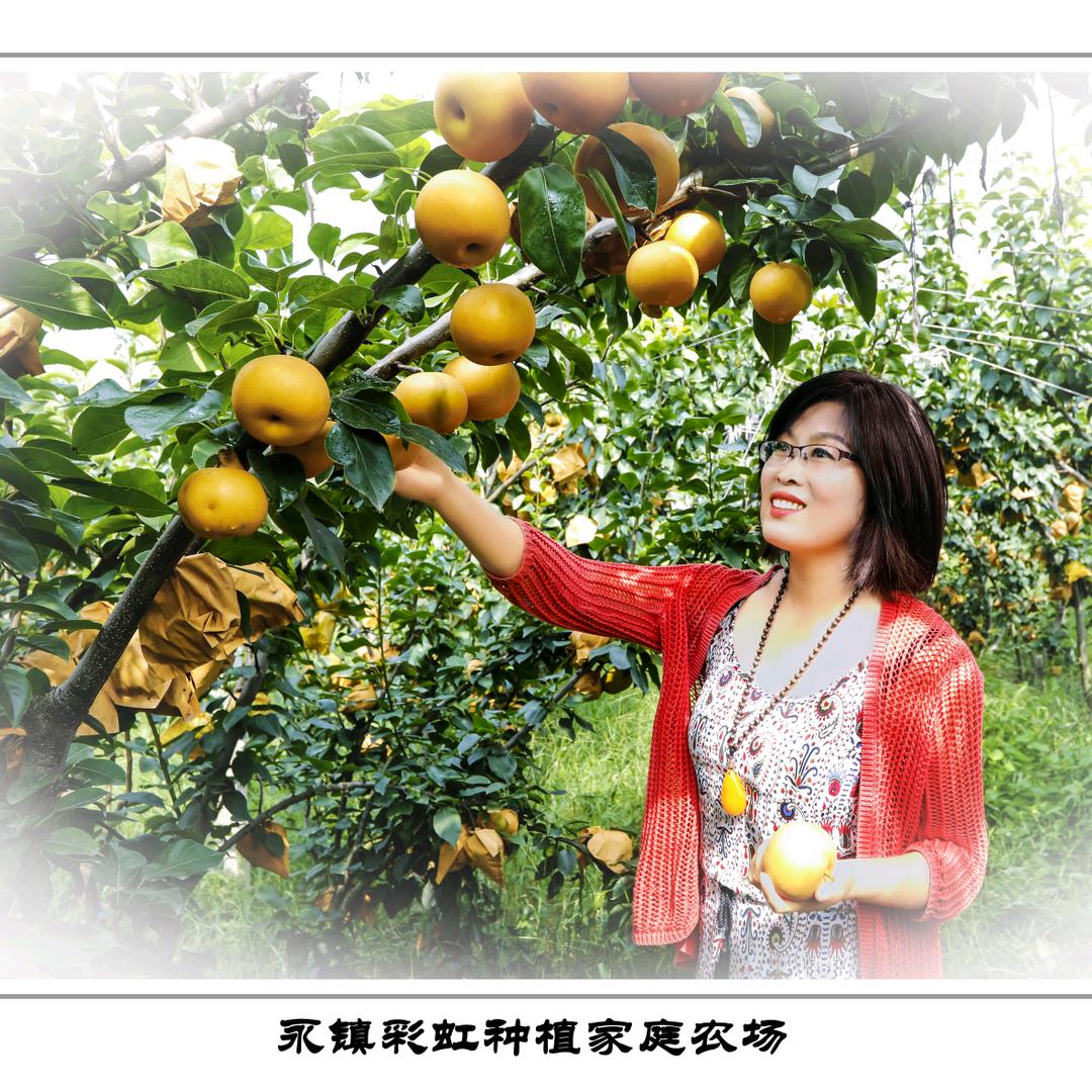 采宏hong