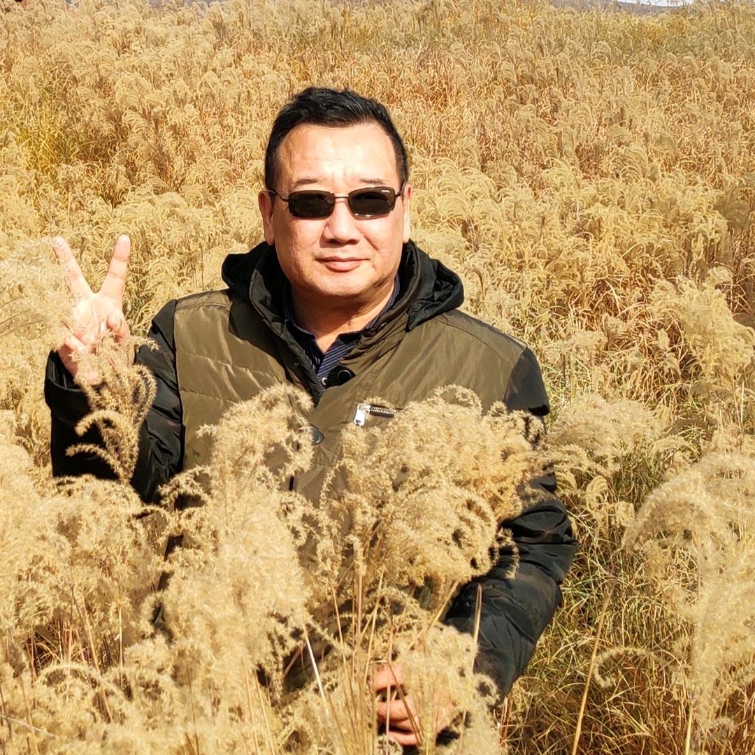 小钢蛋