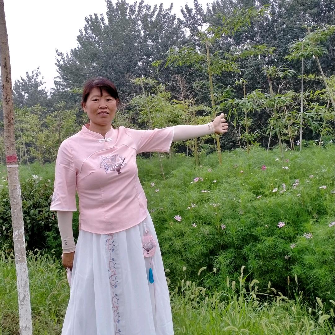 农村芳姐