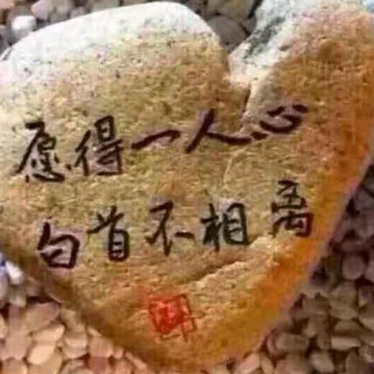 来时不逢春