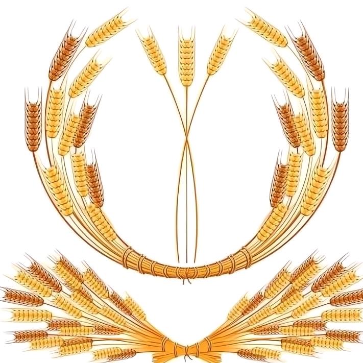 🍁太湖三疯（团队昭募）