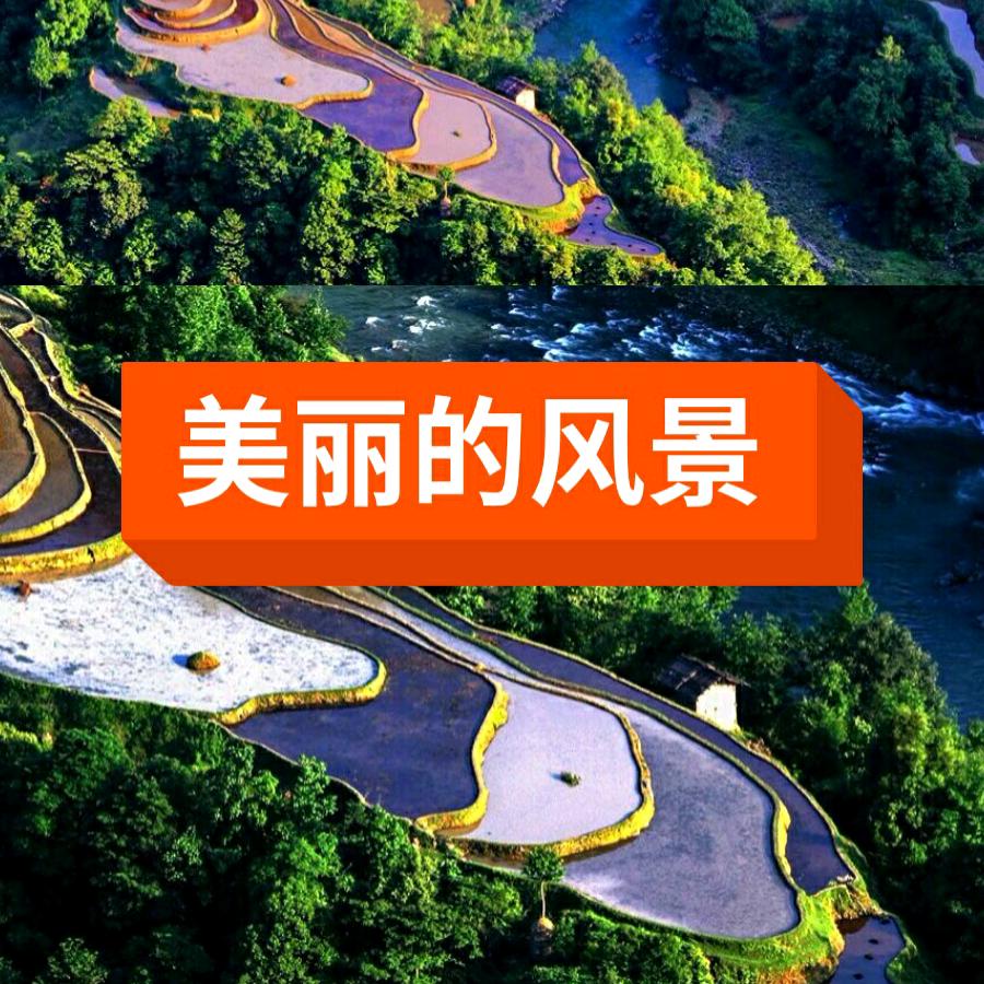 海龙🐲