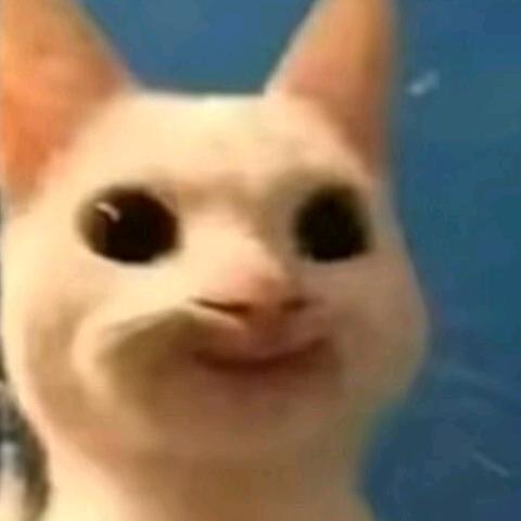阿巴阿巴