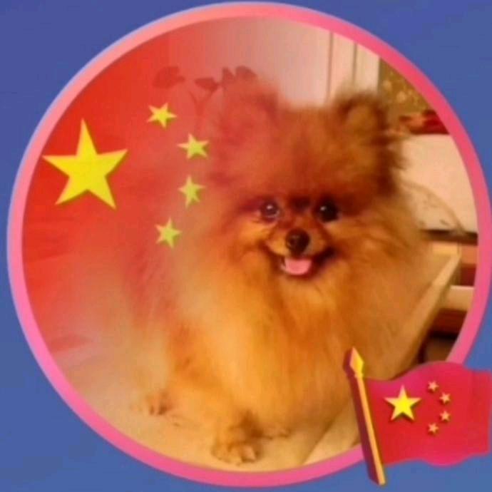 👉爱宠一族👈