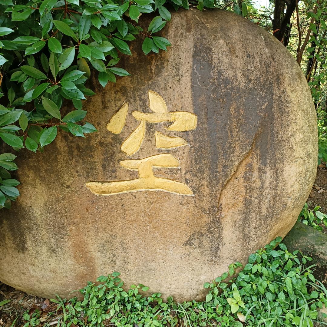 迷茫人生路