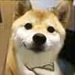 亖狗子∪･ω･∪