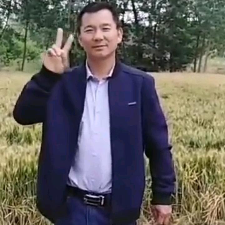 王老板