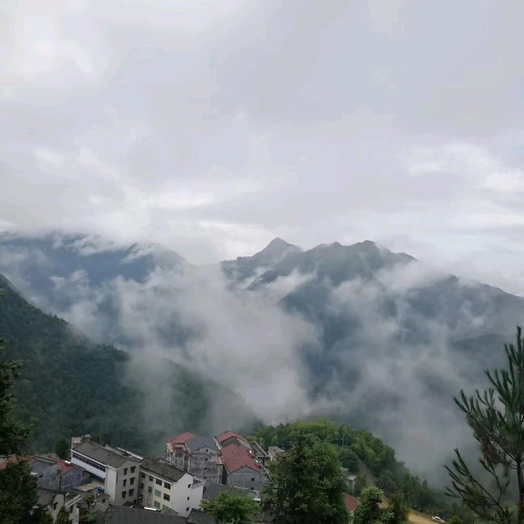 人生如戏