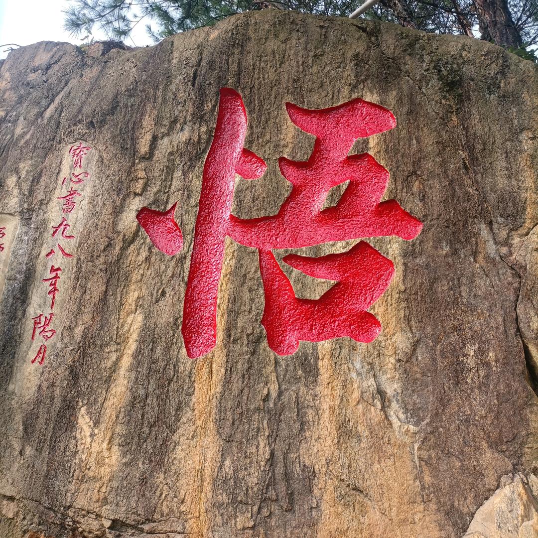 爽哥