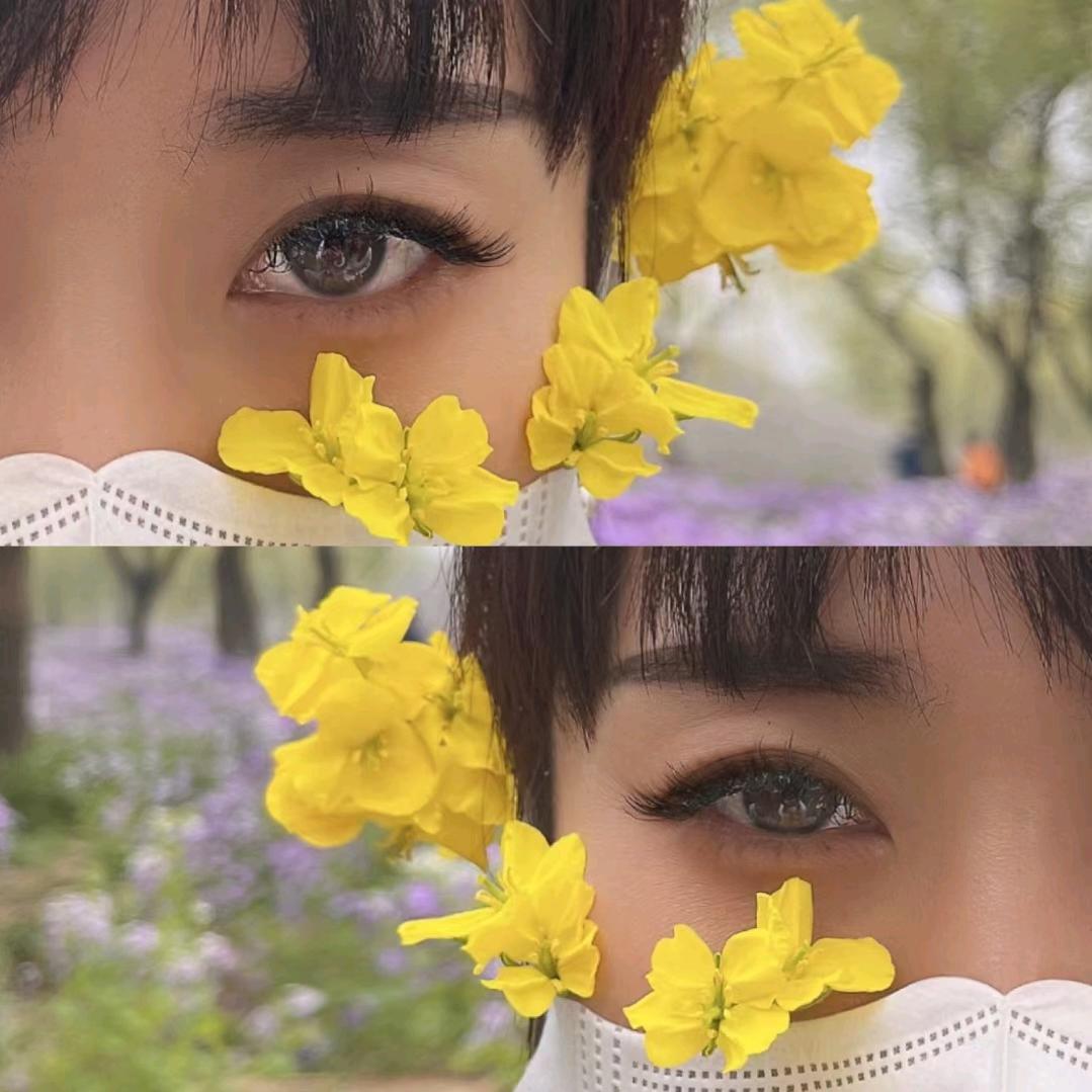 落花无情