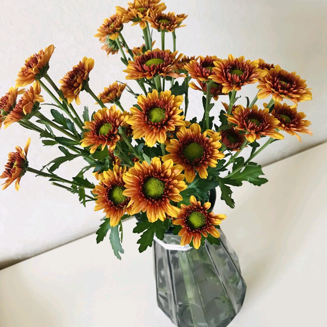 @向日葵🌻