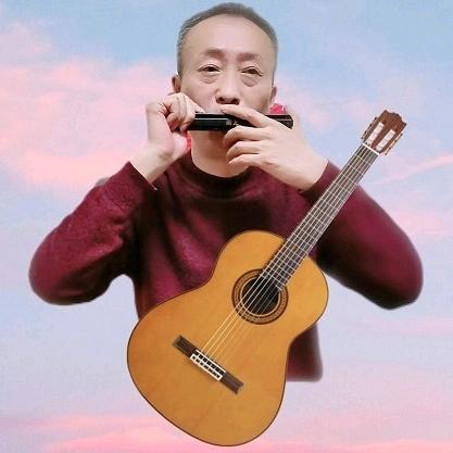 口琴吉他杨