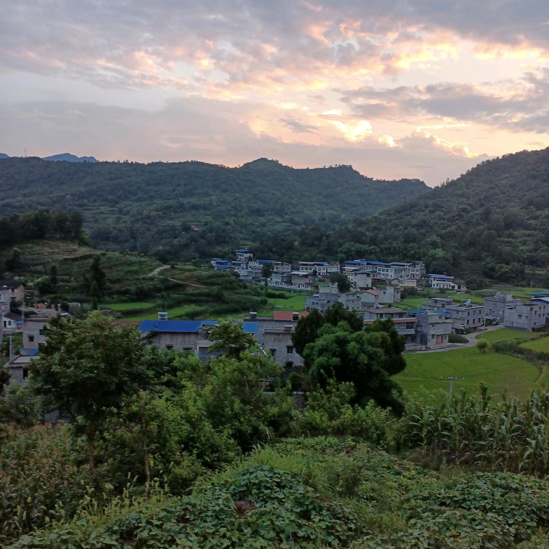 孤独酒馆