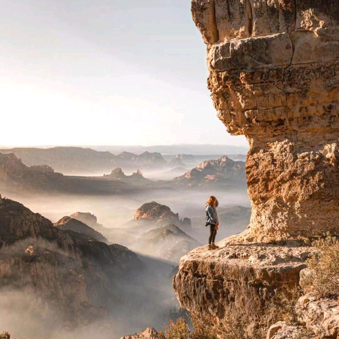 Dreamer  那个谁？