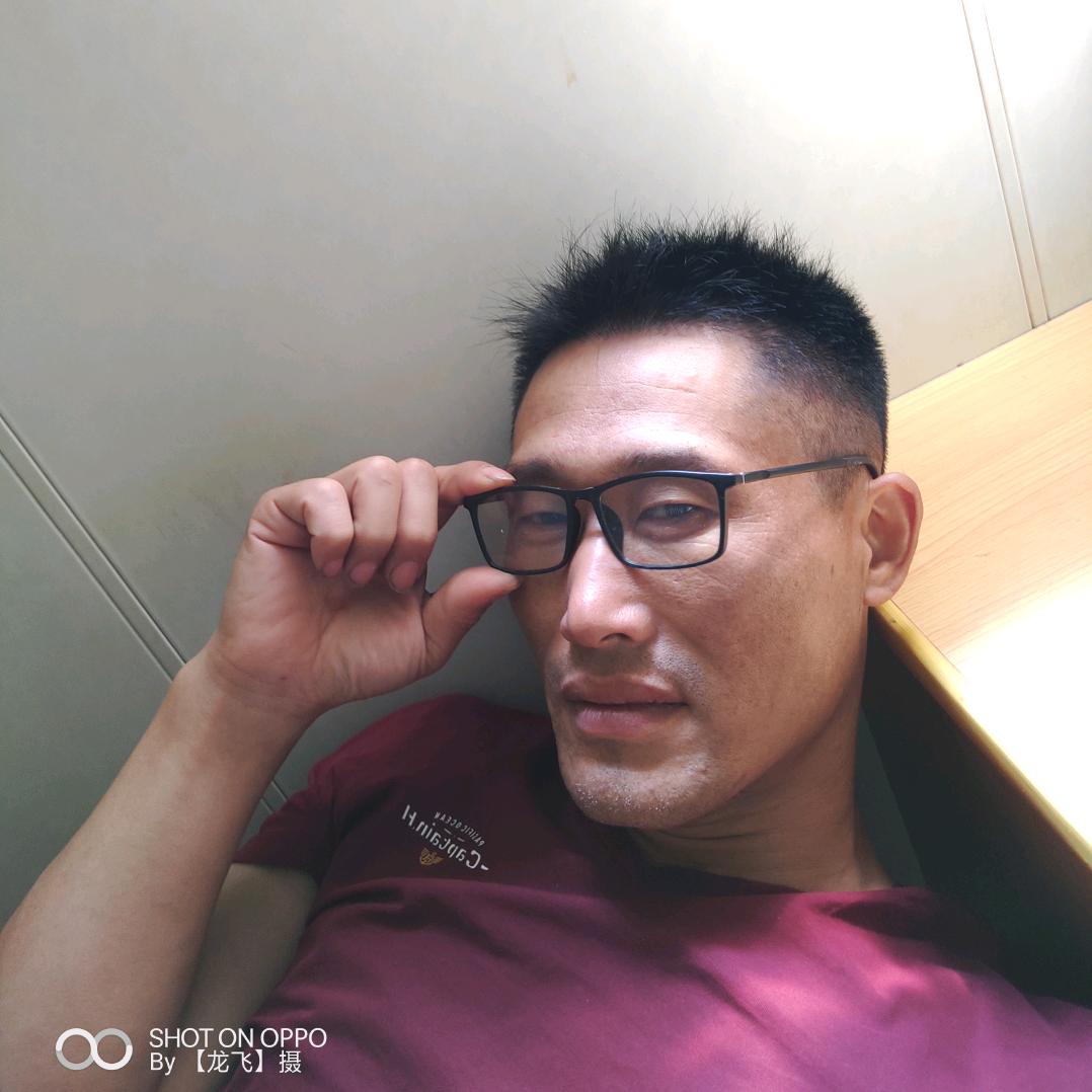 龙飞叶满天