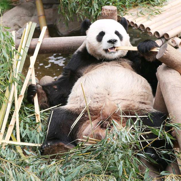 燃烧我的卡路里