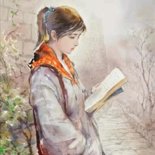 阳光怡人