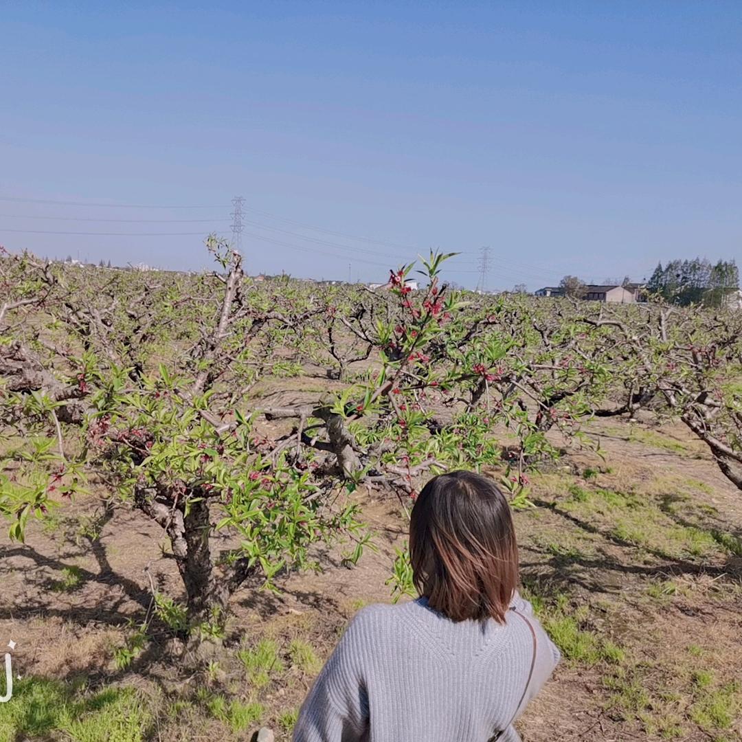 ໑ຼₒ₂₃ღ᭄敏🕊꧔ꦿ᭄💞