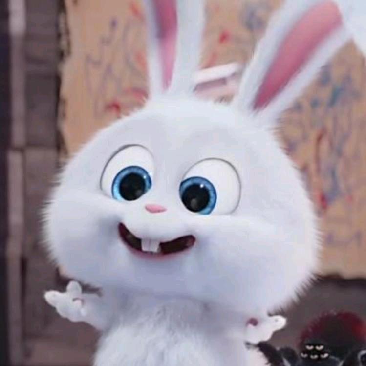 🐰兔八哥🐰
