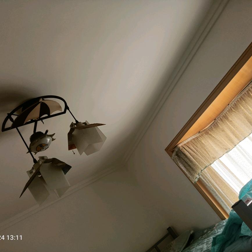 ，，，，严安新