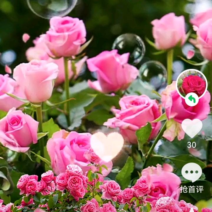 快乐哥
